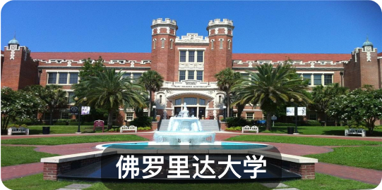 留学研学